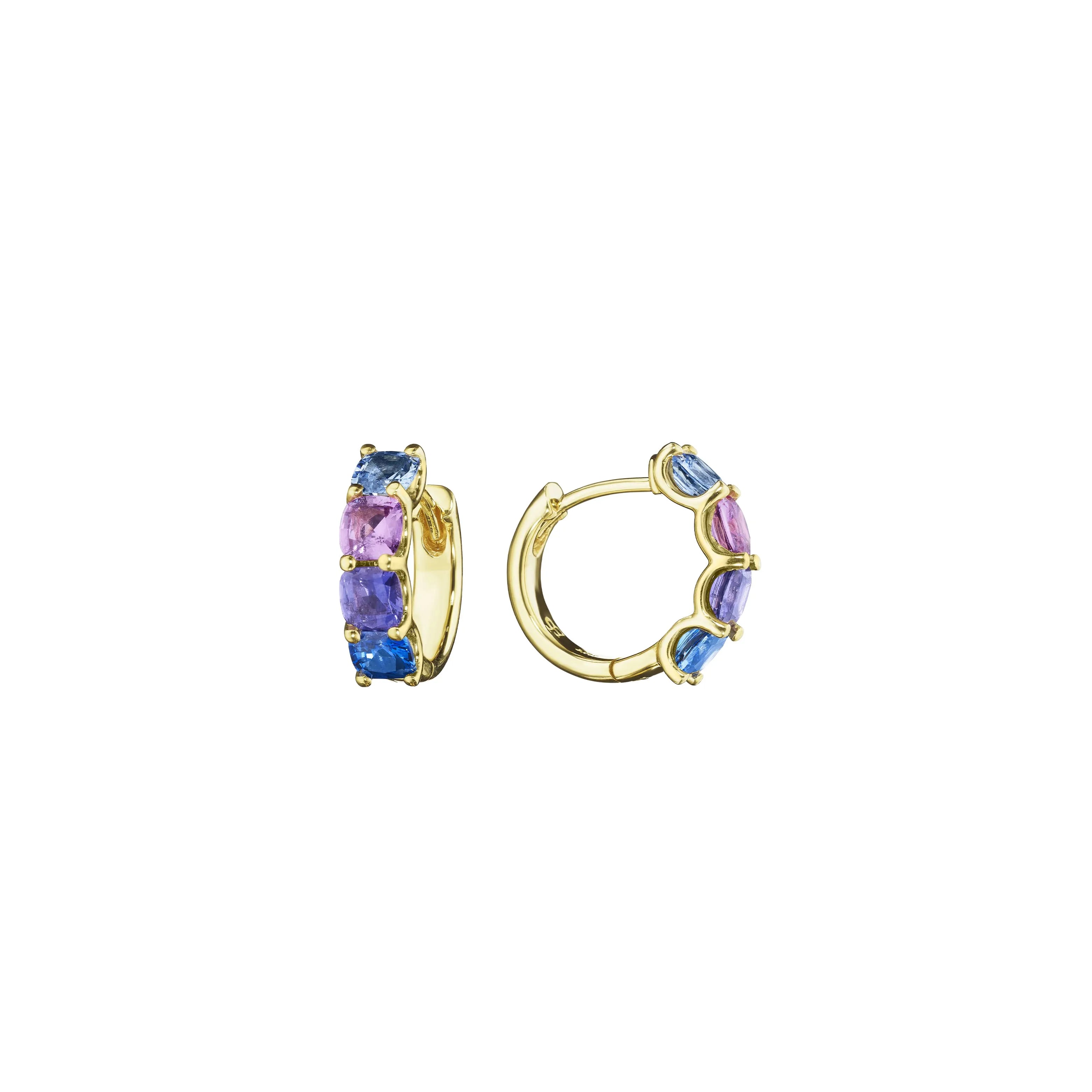 Penny Preville Petite Rainbow Sapphire Hoop Earrings - Be On Park