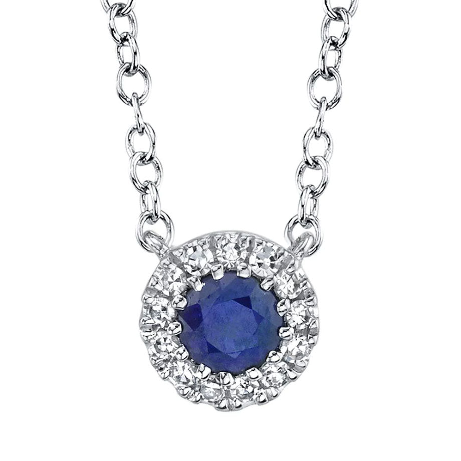 Shy Creation Diamond and Blue Sapphire Necklace - Be On Park