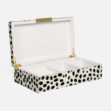 Large Dalmatian Box